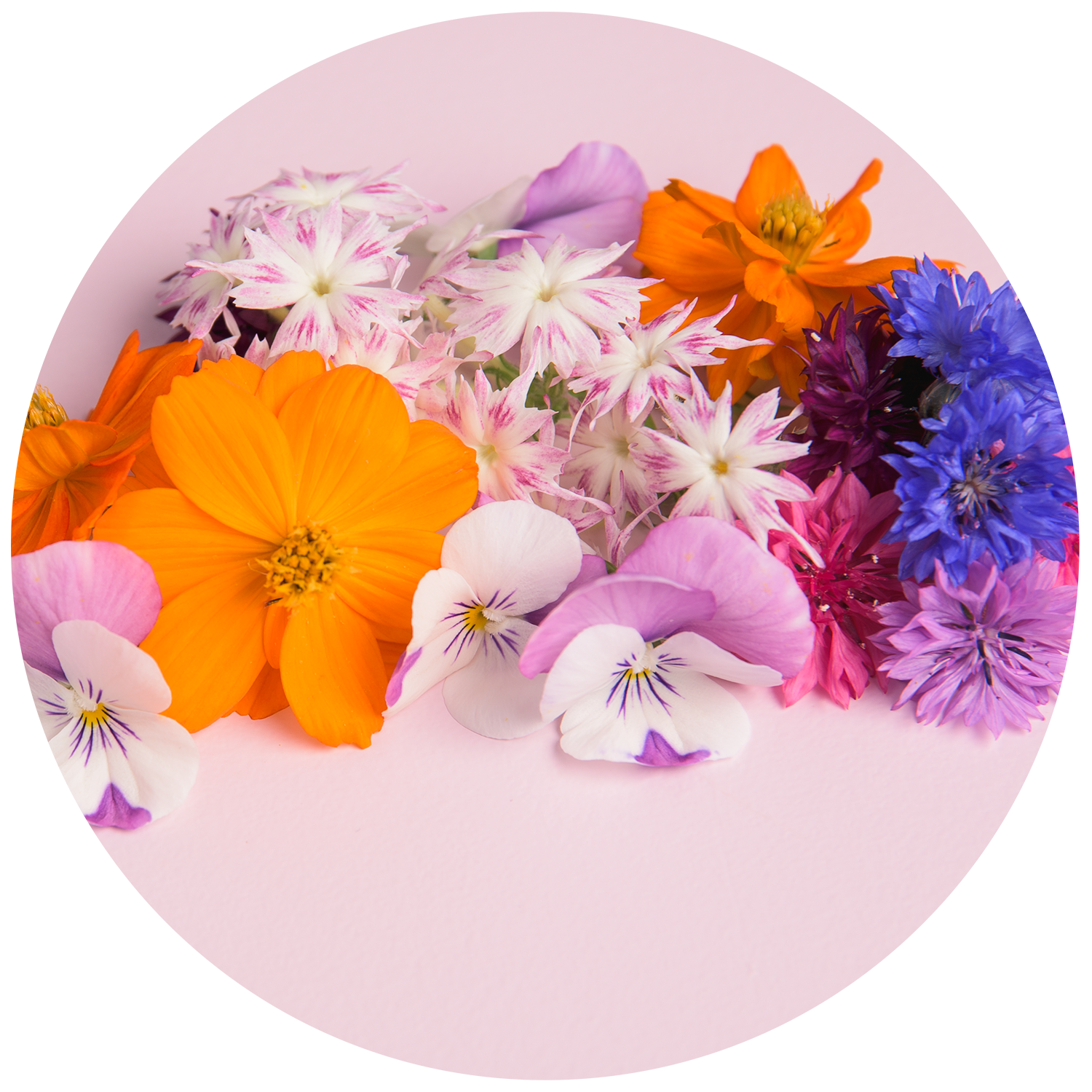 Cubegreens – ätbara blommor