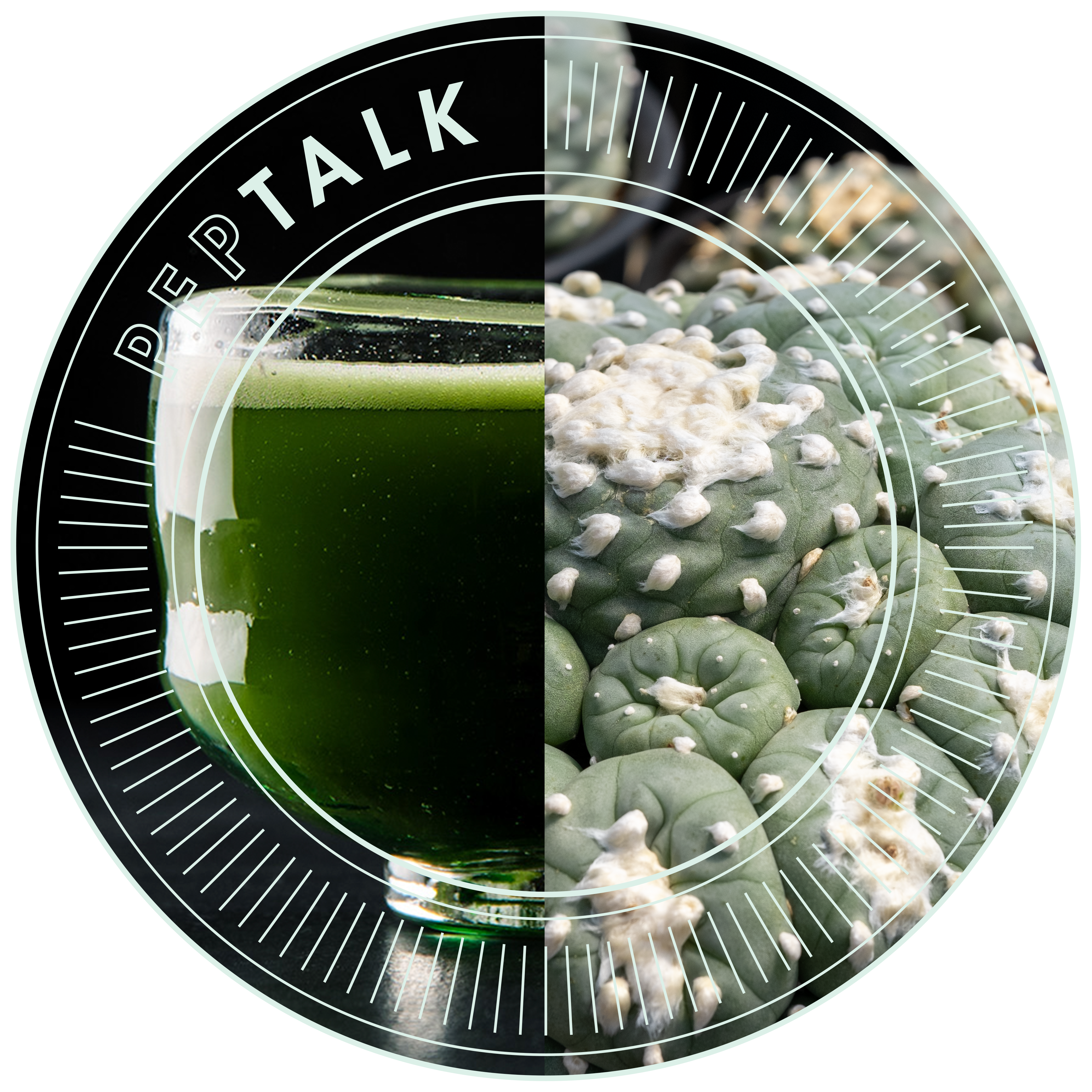 Peptalk – Matcha & Kaktus