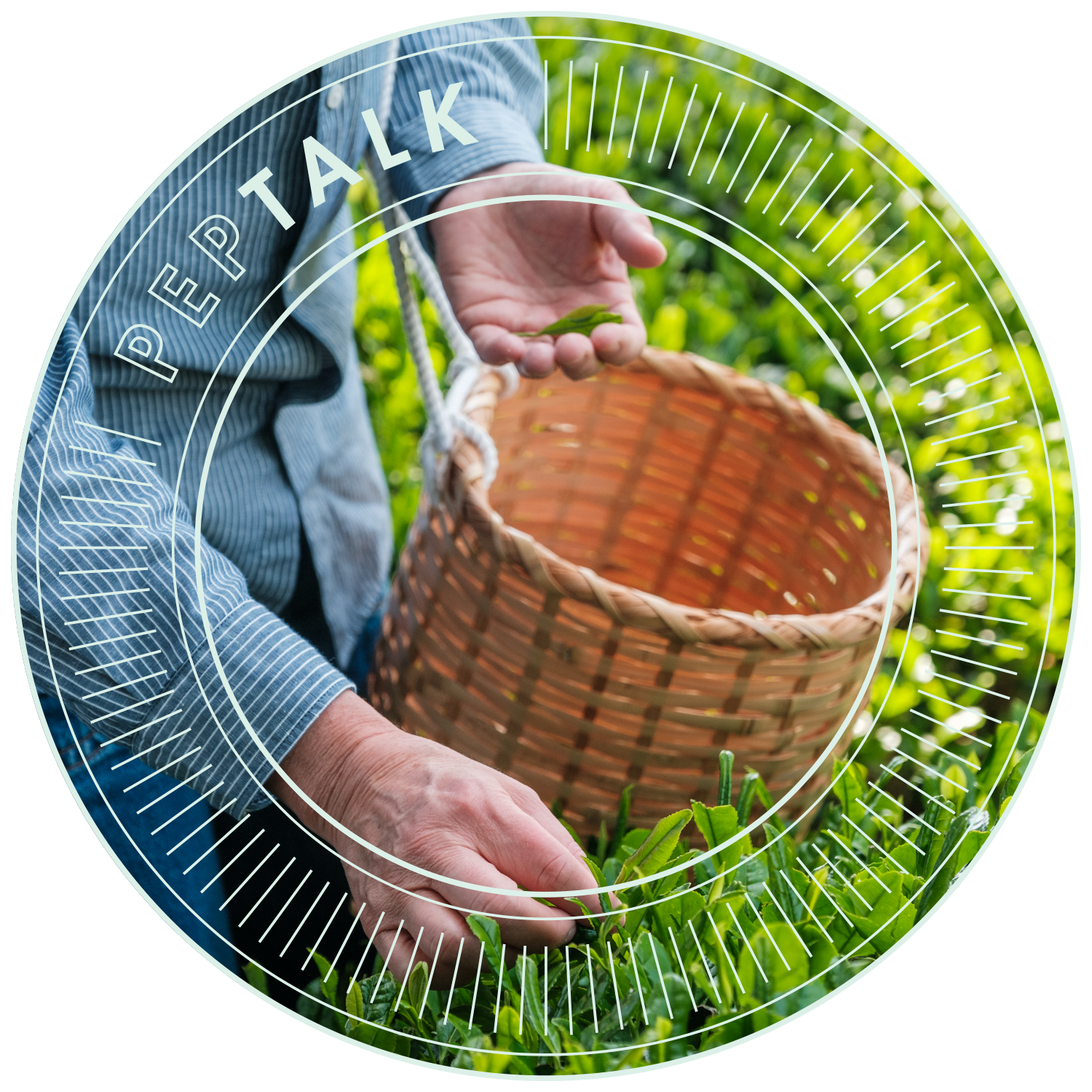 Matchainspiration med Renée & André Voltaire